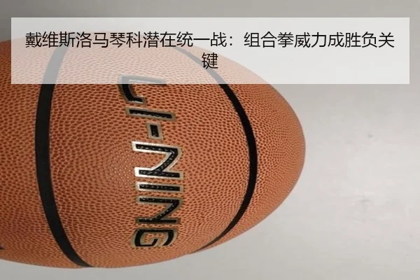 戴维斯洛马琴科潜在统一战：组合拳威力成胜负关键